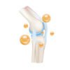 Bone,Joint & Muscle Care