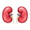 Kidney Care